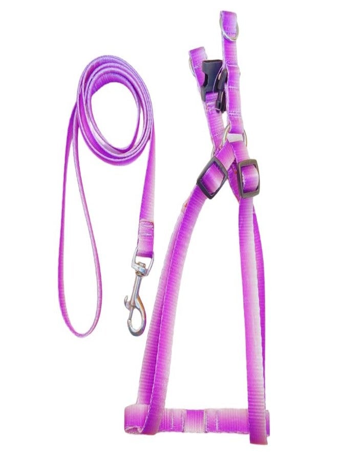 KittuPet طقم حزام ومقود قابل للتعديل من KittuPet Ombre Colorblock للكلاب الصغيرة والمتوسطة الحجم للتدريب الخارجي والجري باللونين الأبيض والبنفسجي (15 مم) - Image 1